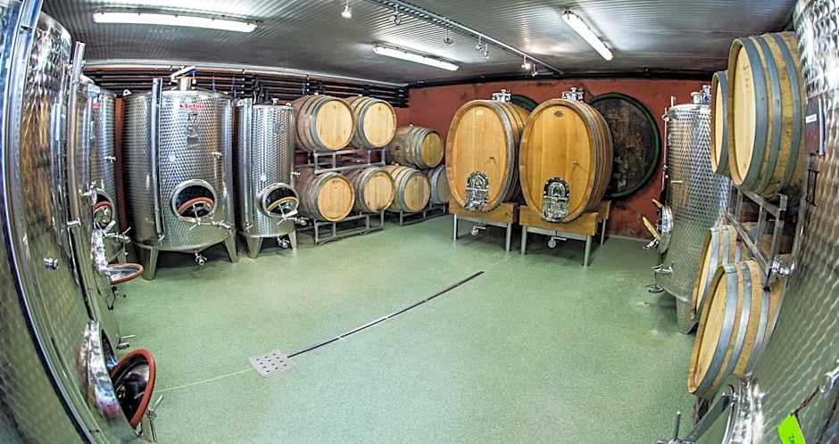 Weingut Essgut Schlafgut Sabathihof-Dillinger