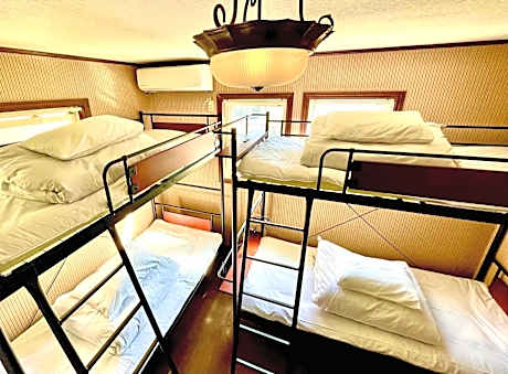 Bunk Bed in Mixed Dormitory Room with Shared Bathroom