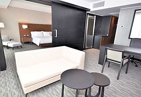 1 King Bed 1 Bedroom Suite