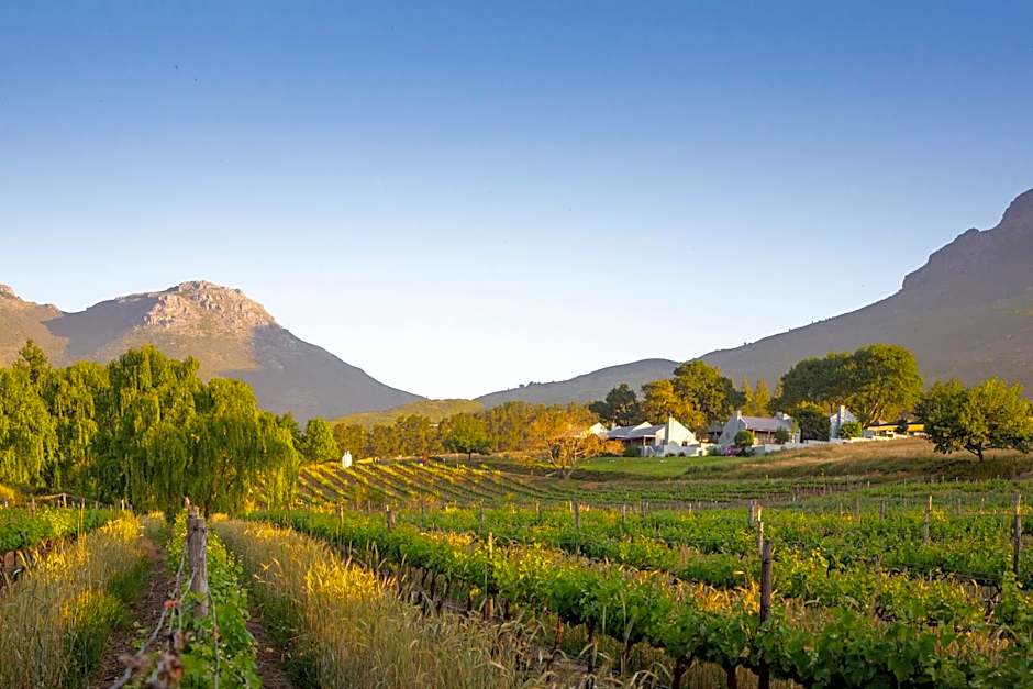 Mont Angelis