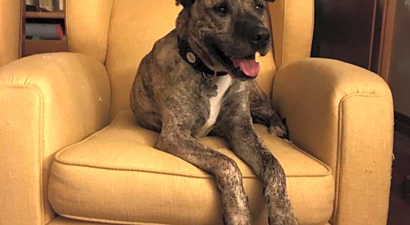 La Casa Blu di Monasteto