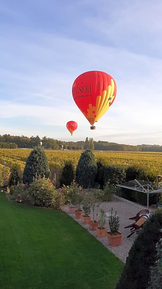 aux pieds des vignes