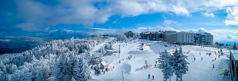 Stroll to Slopes, Village Area, Ski in-out MtLodge 294