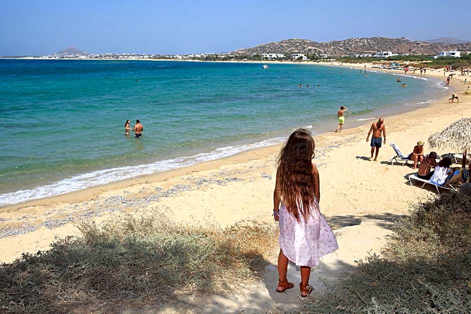Villa Paradise in Naxos