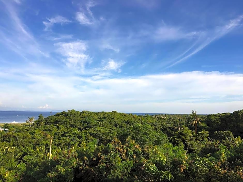 Chaniva-Joy Island View Appartments