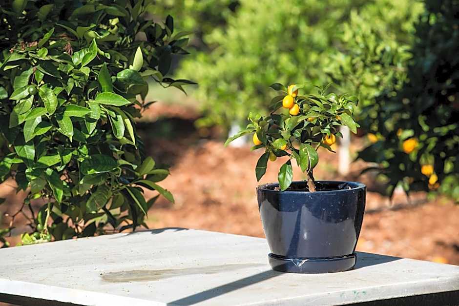 Kristalli Hotel Apartments