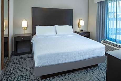 1King Hearing Accessible Studio Suite Nosmok