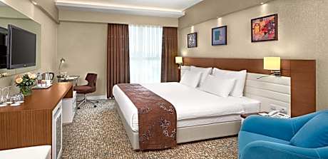 Business Double or Twin Room