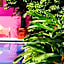 Hotel San Martin La Punta