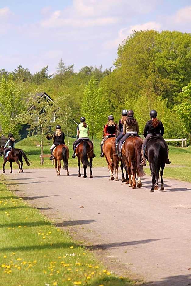 Horsetellerie Rheezerveen