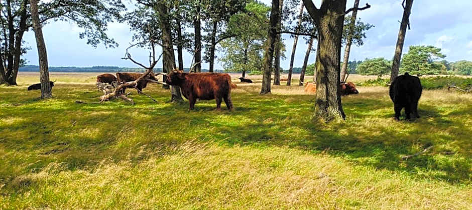 Boutique Hotel het Witte Veen