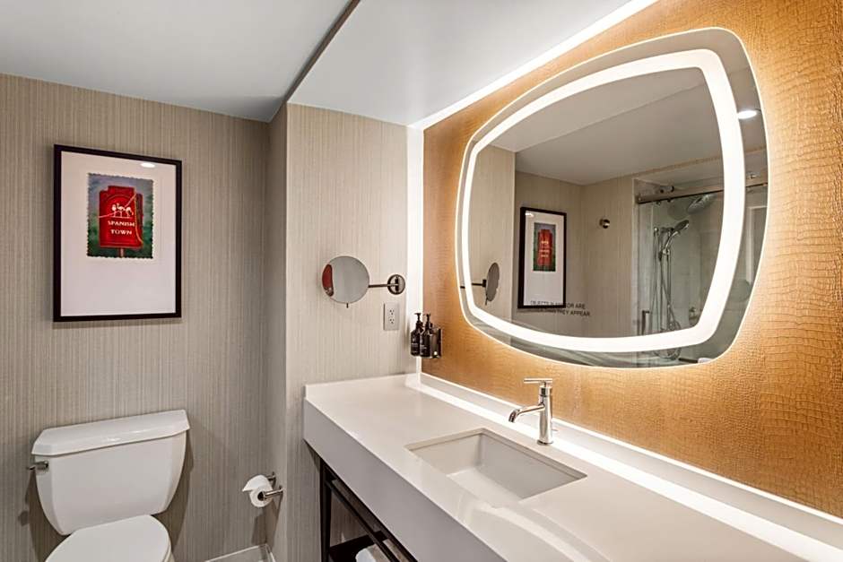 Hotel Indigo Baton Rouge Downtown By IHG