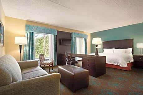 Large King Studio Suite - Non-Smoking