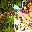 Hotel Cupidor