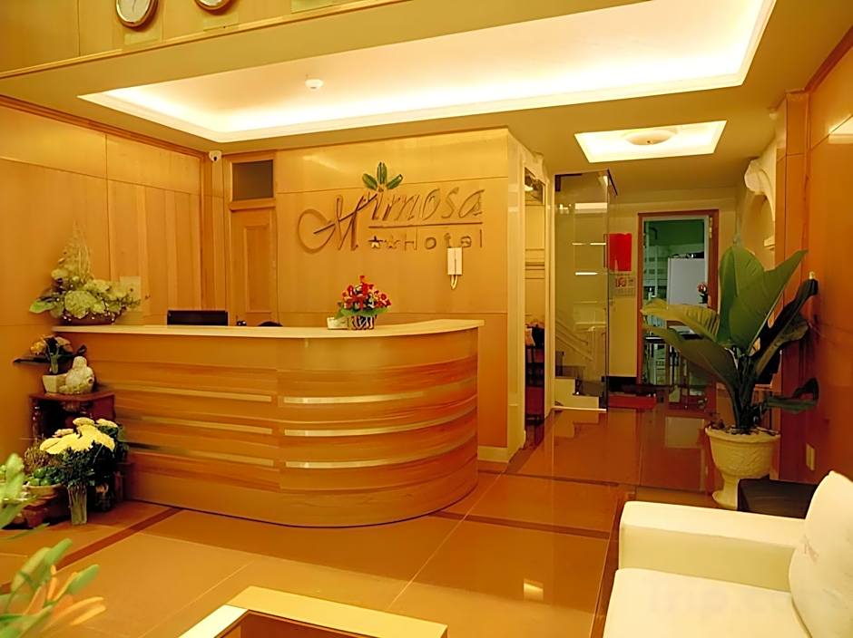 Bin Bin Mimosa Hotel - Near Tan Son Nhat Airport 