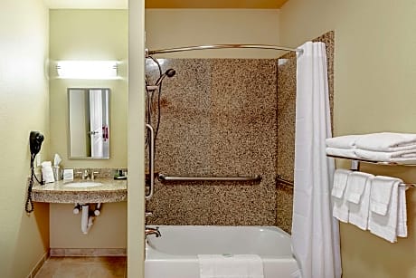 1 King Bed  Suite  No Smoking  Accessible Room