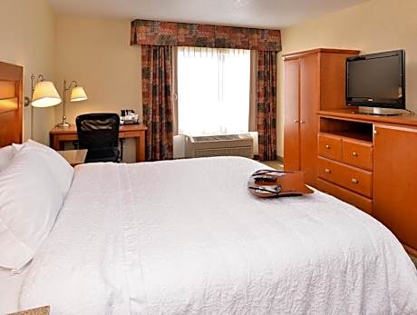 1 King Mobility Access Roll In Shower Nosmok Microwv/fridge/hdtv/work Area Free Wi-fi/hot Breakfast