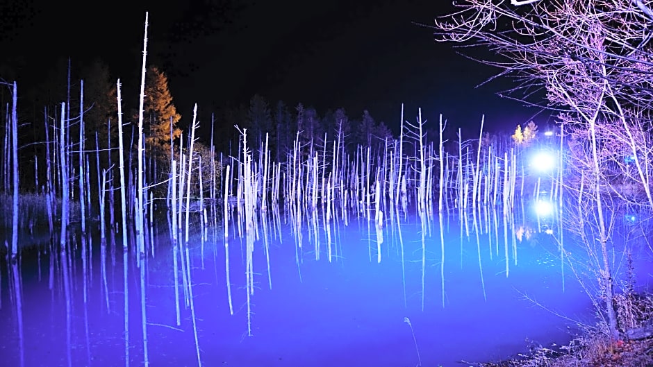 Furano Natulux Hotel