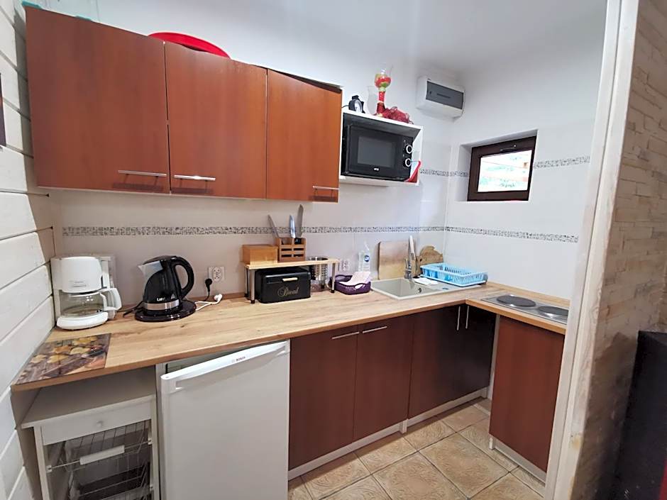 Domki Borowiackie nad brzegiem jeziora