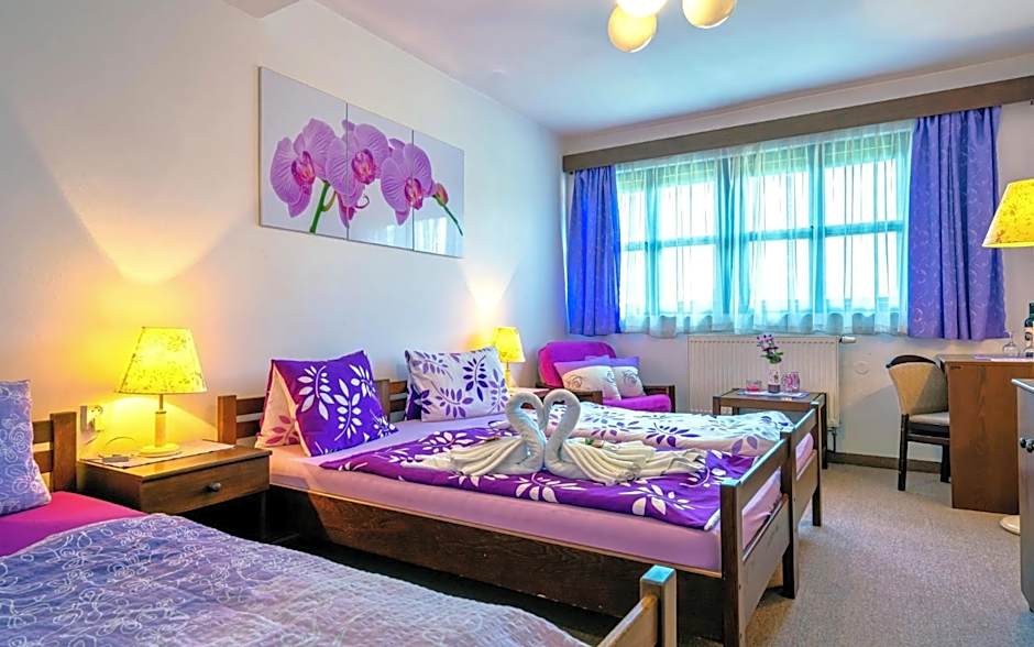 Hotel Stará škola na Šumavě
