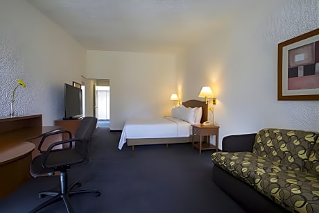 Superior Room, 1 King