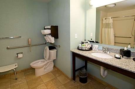 1 King Mobility Access Roll In Shower Nosmok Microwv/fridge/hdtv/work Area Free Wi-fi/hot Breakfast