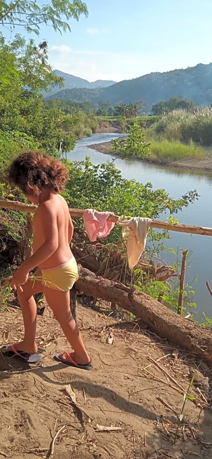 4 Pohon - Les 4 Arbres