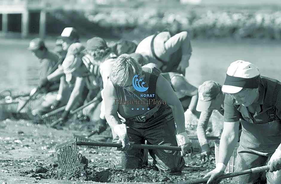 Hotel Norat Palmeira Playa