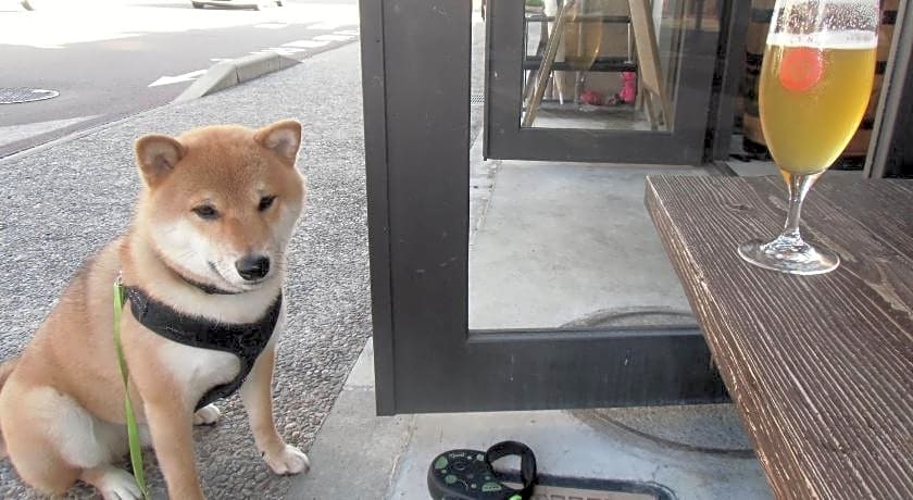 Kanazawa Share House GAOoo
