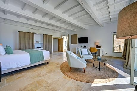 Junior Suite with Terrace