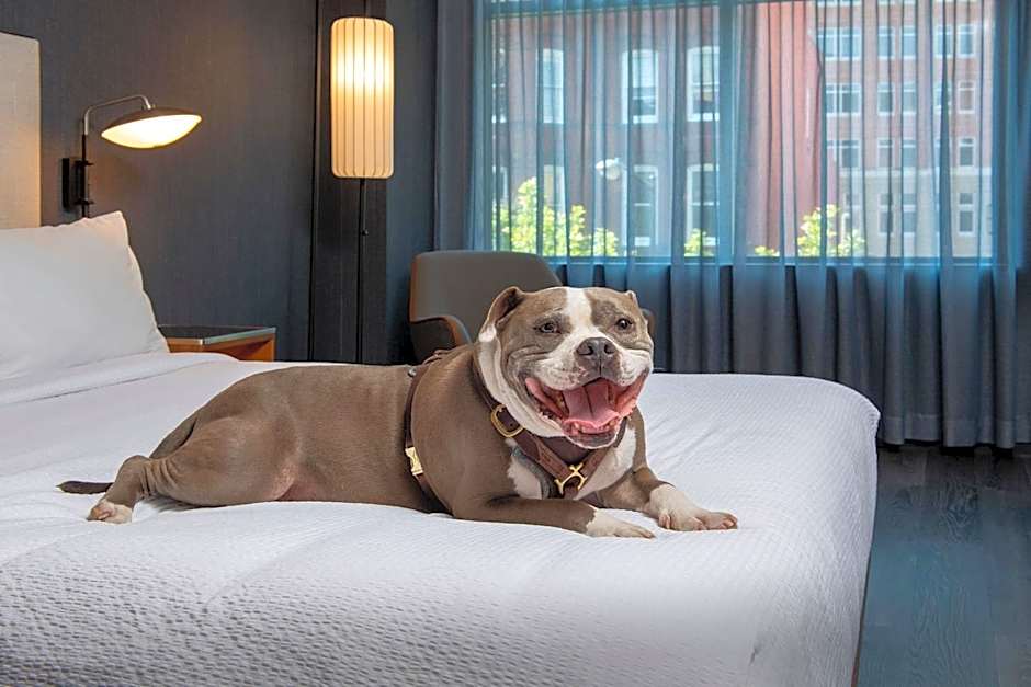 Courtyard by Marriott Washington, DC Dupont Circle