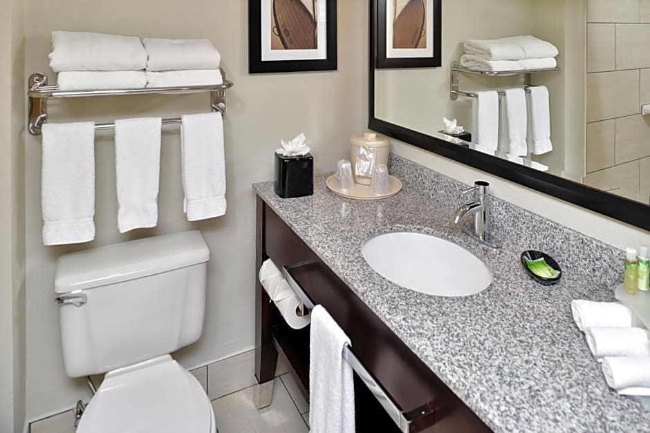 Holiday Inn Express Hotel & Suites Tampa-Rocky Point Island