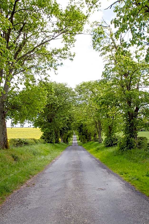 Whitehouse Country House