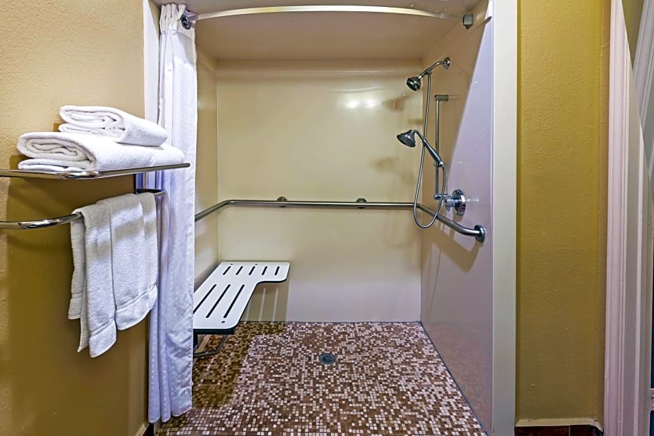 Holiday Inn Express Hotel & Suites Houston-Downtown Convention Center By IHG