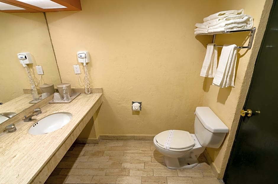 Hotel San Francisco Leon