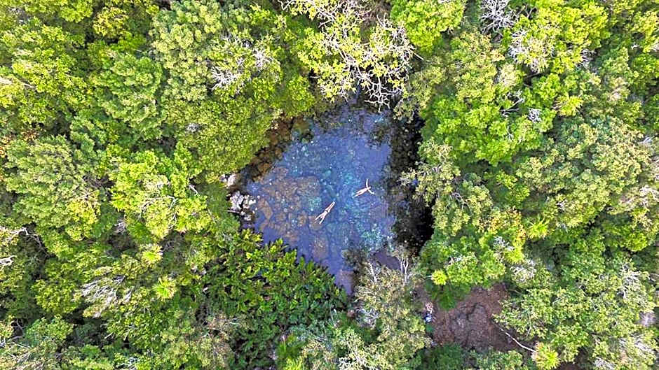 The Yellow Nest Tulum