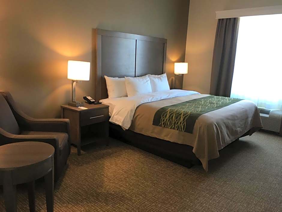 Comfort Inn & Suites Snyder