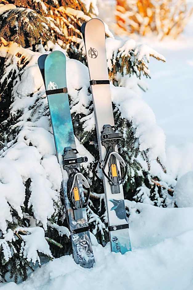 Kotolinna, Kotomo Oy