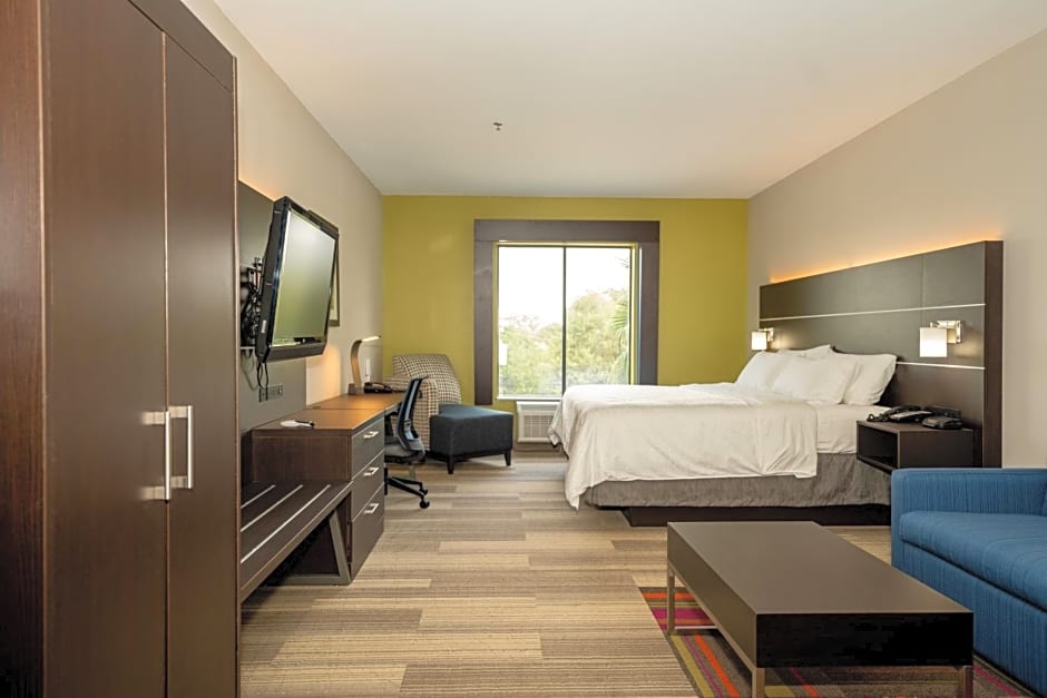 Holiday Inn Express Hotel & Suites Deer Park