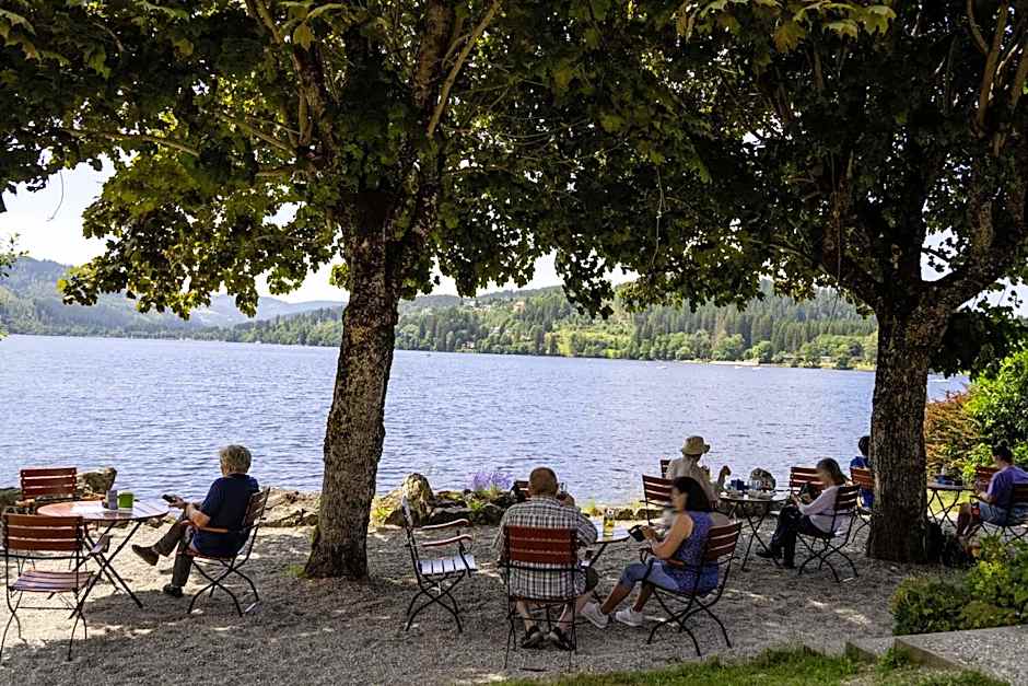 Maritim Titisee Hotel
