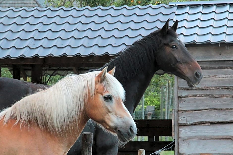 Hoeve Op Vollenhof