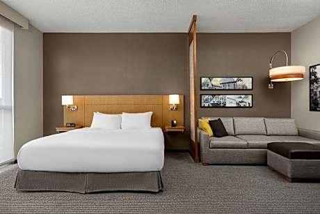 King Room with Sofa Bed and Accessible Tub