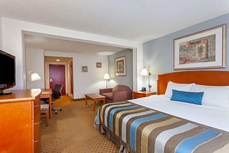 Junior Suite King Size Bed