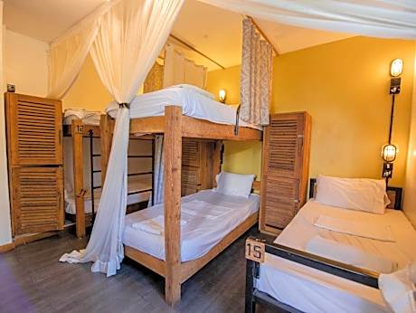 Bed in 6-Bed Dormitory Room