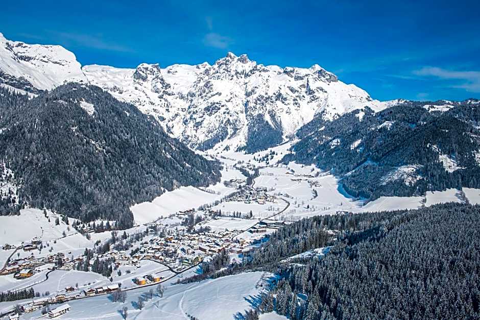 Apart Hotel Alpenhof Werfenweng