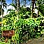 The Palms At Palm Cove