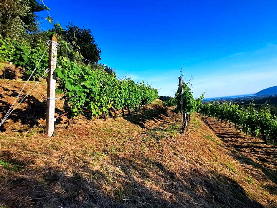 Agriturismo La Carreccia