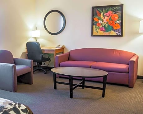 1 King Bed, Suite, Nonsmoking