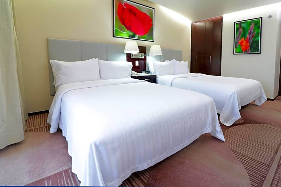 Holiday Inn Hotel & Suites Mexico Medica Sur By IHG