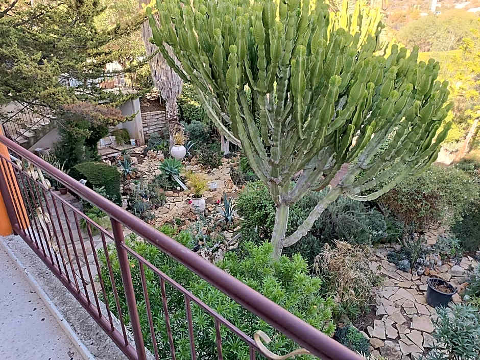 Rantzo Holiday Apartments